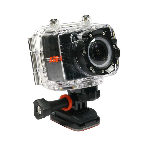 sd-19